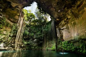 CENOTE2-min